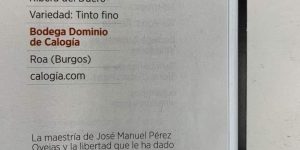 Puntuación de DOMINIO DE CALOGÍA en la Guía de Vinos ABC 2023.
