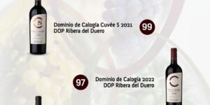 DOMINIO DE CALOGIA CUVÉE S 2021, MEJOR VINO DE ESPAÑA EN LA GUIA DE LOS MEJORES VINOS Y ACEITES 2025, SeVi.
