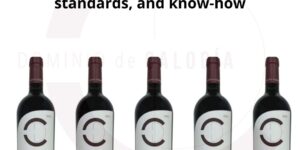 𝙍𝙚𝙫𝙞𝙨𝙩𝙖 𝙙𝙚𝙡 𝙑𝙞𝙣𝙤 𝙙𝙚𝙙𝙞𝙘𝙖𝙩𝙚𝙨 𝙩𝙝𝙚𝙨𝙚 𝙬𝙤𝙧𝙙𝙨 𝙩𝙤 𝘿𝙤𝙢𝙞𝙣𝙞𝙤 𝙙𝙚 𝘾𝙖𝙡𝙤𝙜𝙞́𝙖 𝟮𝟬𝟮𝟮, 𝙝𝙞𝙜𝙝𝙡𝙞𝙜𝙝𝙩𝙞𝙣𝙜 𝙩𝙝𝙚 𝙧𝙞𝙜𝙤𝙧, 𝙝𝙞𝙜𝙝 𝙨𝙩𝙖𝙣𝙙𝙖𝙧𝙙𝙨, 𝙖𝙣𝙙 𝙠𝙣𝙤𝙬-𝙝𝙤𝙬 𝙩𝙝𝙖𝙩 𝙙𝙚𝙛𝙞𝙣𝙚 𝙤𝙪𝙧 𝙥𝙧𝙤𝙟𝙚𝙘𝙩 𝙖𝙣𝙙 𝙤𝙪𝙧 𝙬𝙖𝙮 𝙤𝙛 𝙪𝙣𝙙𝙚𝙧𝙨𝙩𝙖𝙣𝙙𝙞𝙣𝙜 𝙍𝙞𝙗𝙚𝙧𝙖 𝙙𝙚𝙡 𝘿𝙪𝙚𝙧𝙤.