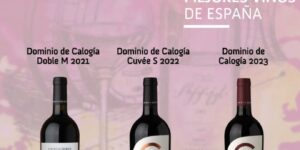 Un reconocimiento que nos emociona y nos impulsa a seguir. 𝙇𝙖 𝙂𝙪𝙞́𝙖 𝙋𝙧𝙤𝙚𝙣𝙨𝙖 𝟮𝟬𝟮𝟲 sitúa a Dominio de Calogía entre los mejores vinos de España, con puntuaciones que hablan de origen, precisión y carácter: