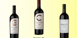 𝙇𝙖 𝙂𝙪𝙞́𝙖 𝙑𝙞𝙣𝙤𝙨 𝙂𝙤𝙪𝙧𝙢𝙚𝙩𝙨 𝟮𝟬𝟮𝟲 vuelve a reconocer el trabajo detrás de cada añada, puntuando nuestros vinos entre los mejores de España. Un impulso que nos anima a seguir cuidando cada detalle, desde la viña hasta la copa.