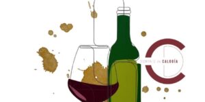 𝙍𝙀𝘾𝙊𝙉𝙊𝘾𝙄𝙈𝙄𝙀𝙉𝙏𝙊 𝘿𝙊𝙈𝙄𝙉𝙄𝙊 𝘿𝙀 𝘾𝘼𝙇𝙊𝙂𝙄𝘼 𝙀𝙉 𝙑𝙄𝙑𝙄𝙍 𝙀𝙇 𝙑𝙄𝙉𝙊