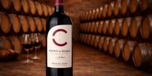 𝗗𝗼𝗺𝗶𝗻𝗶𝗼 𝗱𝗲 𝗖𝗮𝗹𝗼𝗴𝗶́𝗮 𝗕𝘆 𝗝𝗼𝘀𝗲́ 𝗠𝗮𝗻𝘂𝗲𝗹 𝗣𝗲́𝗿𝗲𝘇 𝗢𝘃𝗲𝗷𝗮𝘀 𝟮𝟬𝟮𝟮: 𝗲𝗹 𝗥𝗶𝗯𝗲𝗿𝗮 𝗱𝗲𝗹 𝗗𝘂𝗲𝗿𝗼 𝗾𝘂𝗲 𝗵𝗮 𝗹𝗼𝗴𝗿𝗮𝗱𝗼 𝟵𝟵 𝗽𝘂𝗻𝘁𝗼𝘀 𝗰𝗼𝗻 𝘀𝗼𝗹𝗼 𝟮𝟱.𝟱𝟮𝟴 𝗯𝗼𝘁𝗲𝗹𝗹𝗮𝘀.